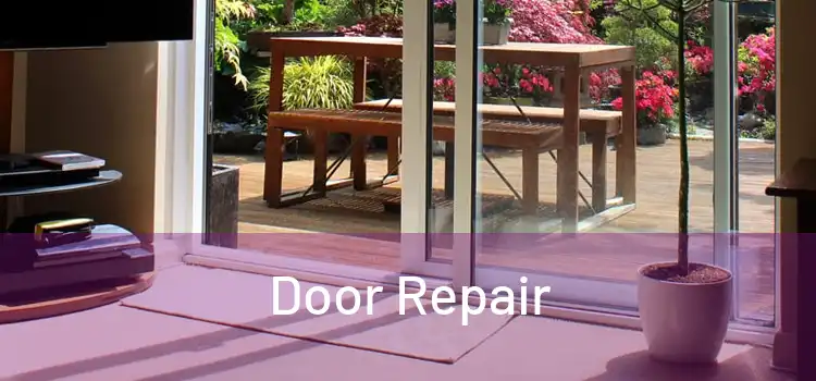 Door Repair