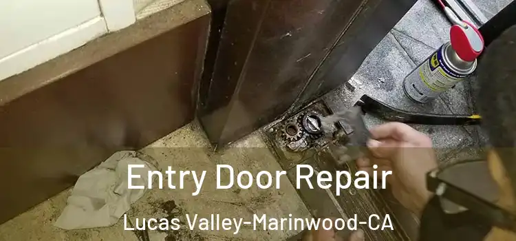 Entry Door Repair Lucas Valley-Marinwood-CA