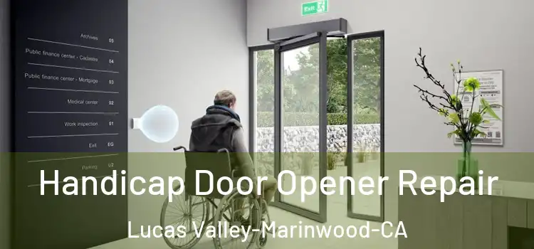  Handicap Door Opener Repair Lucas Valley-Marinwood-CA