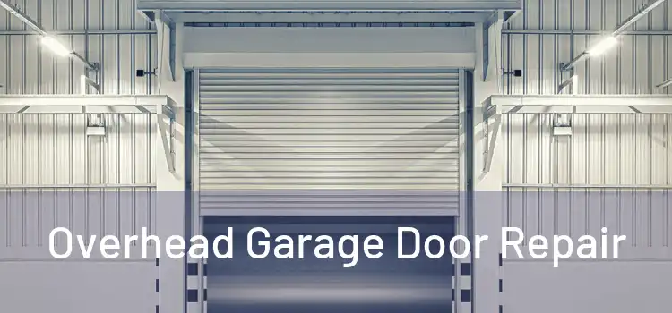  Overhead Garage Door Repair 