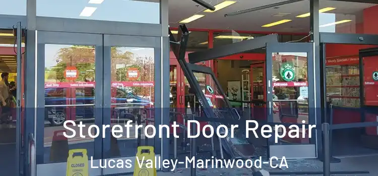  Storefront Door Repair Lucas Valley-Marinwood-CA